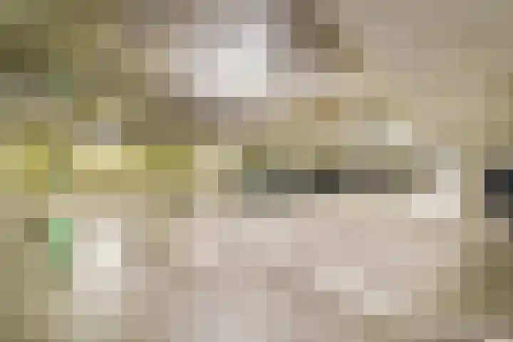 Overhoeksparklaan 36 Amsterdam thumbnail 27