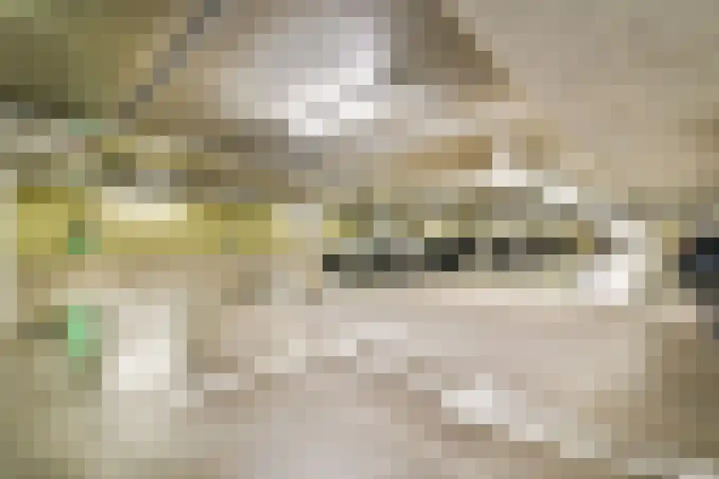 Overhoeksparklaan 36 Amsterdam thumbnail 27