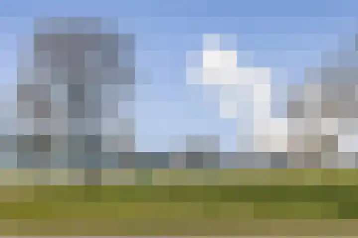 Overhoeksparklaan 36 Amsterdam thumbnail 31