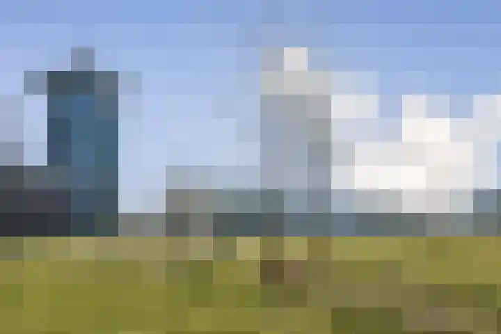 Overhoeksparklaan 36 Amsterdam thumbnail 32