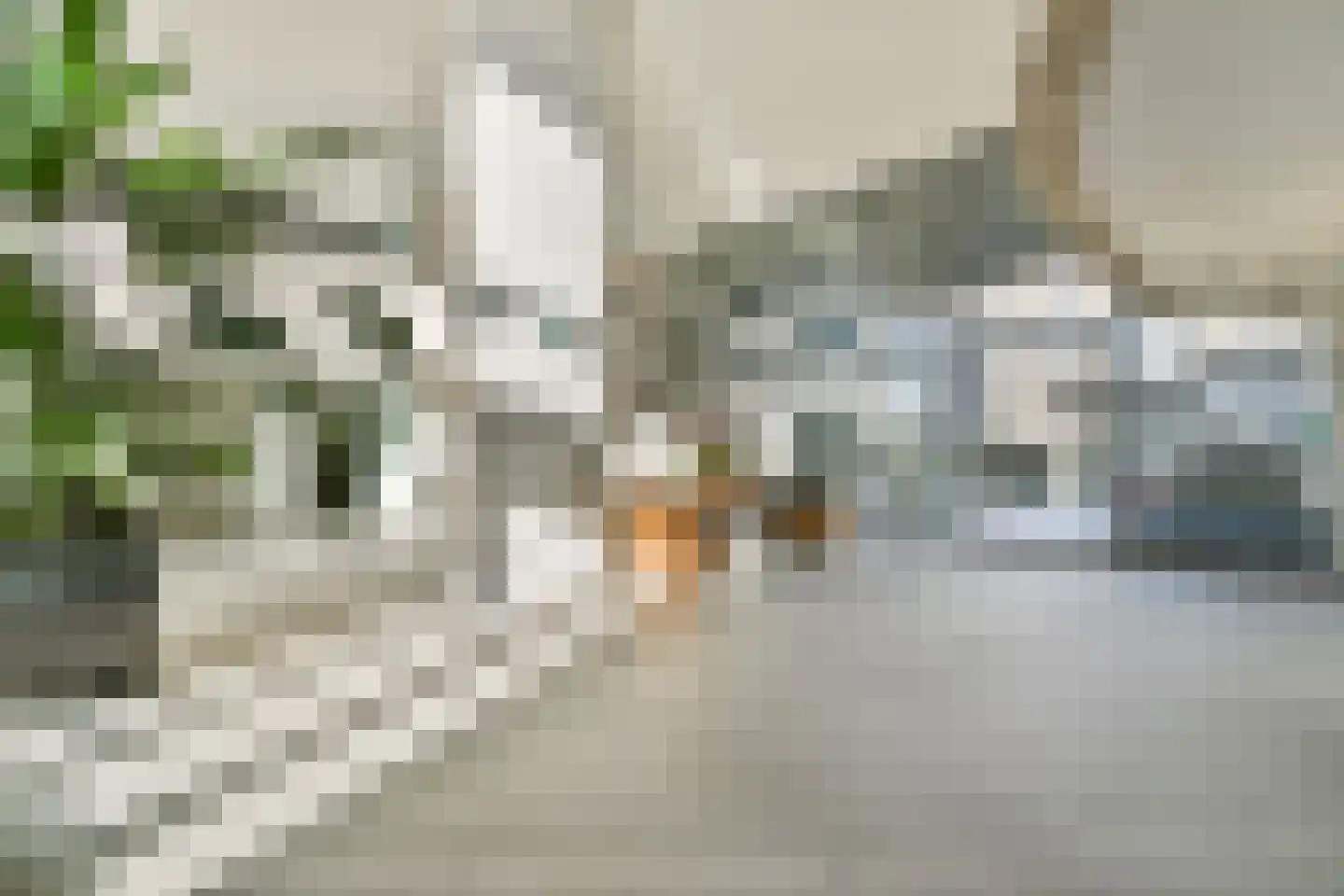 Overhoeksparklaan 36 Amsterdam thumbnail 7