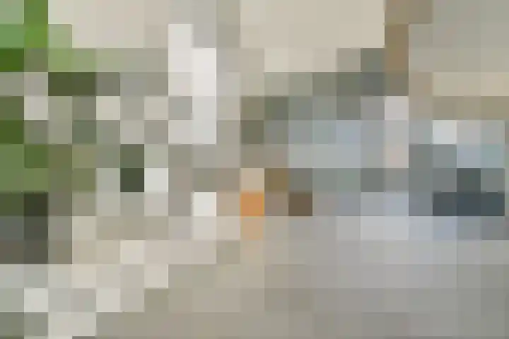 Overhoeksparklaan 36 Amsterdam thumbnail 7