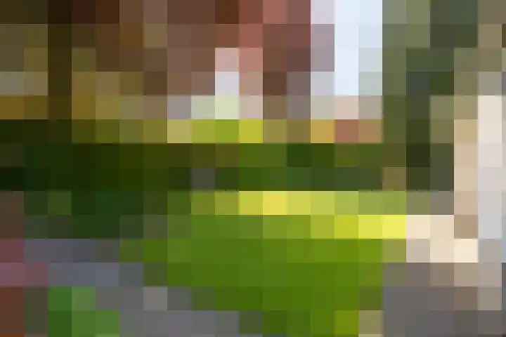 Overhorst 34 Helmond thumbnail 37