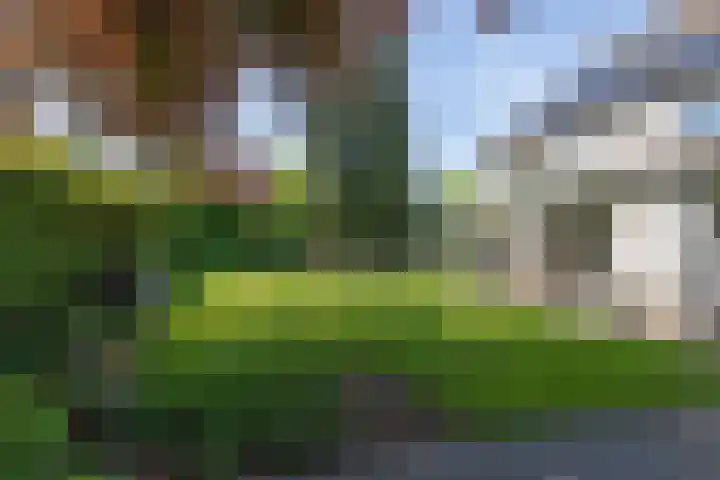 Overhorst 34 Helmond thumbnail 43
