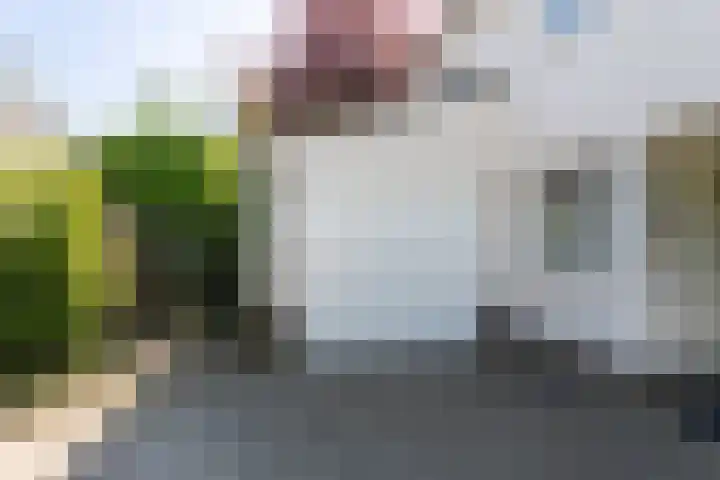 Overhorst 34 Helmond thumbnail 6