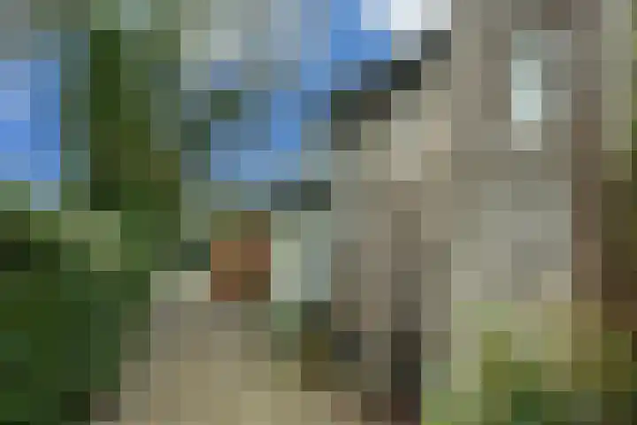 Overhorst 34 Helmond thumbnail 8