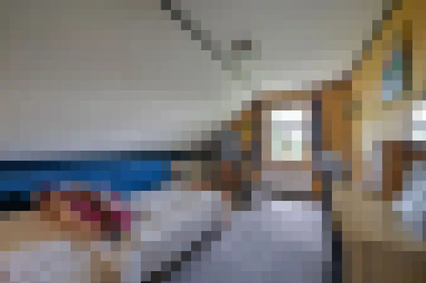 Overhorsterweg 48 Voorthuizen thumbnail 17