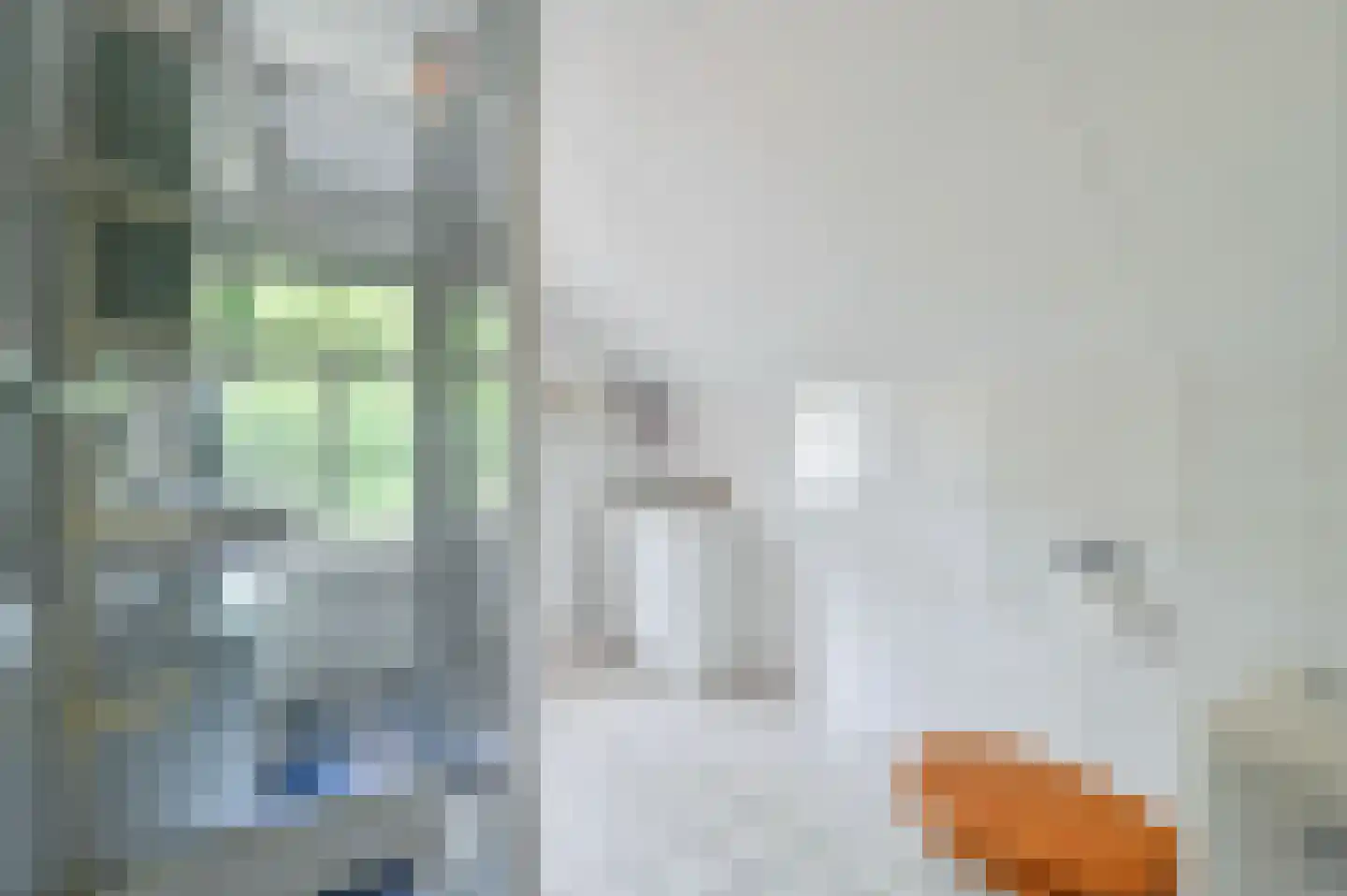 Overhorsterweg 48 Voorthuizen thumbnail 21