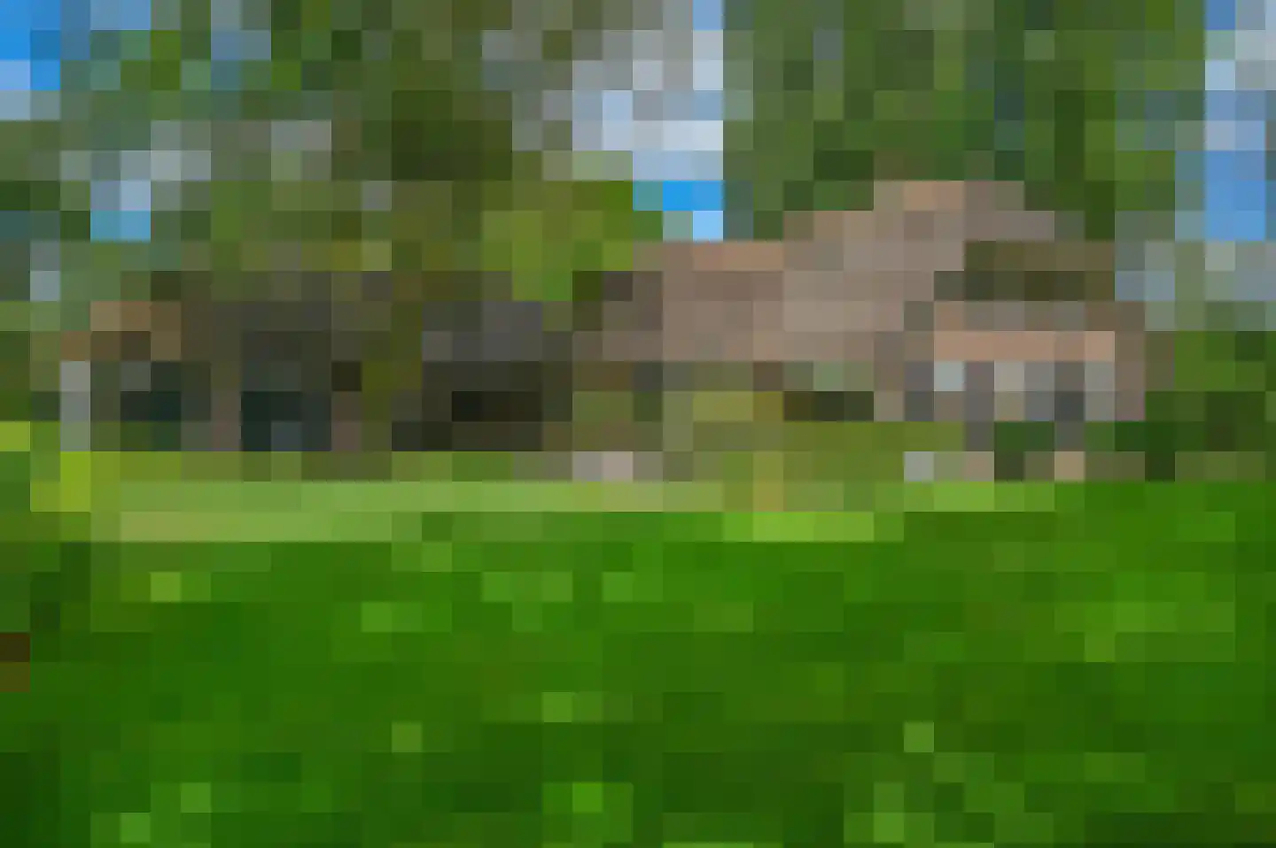 Overhorsterweg 48 Voorthuizen thumbnail 33