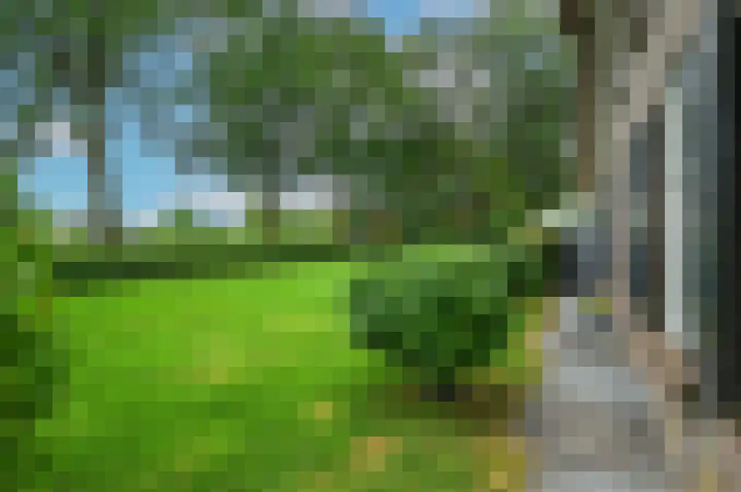 Overhorsterweg 48 Voorthuizen thumbnail 34