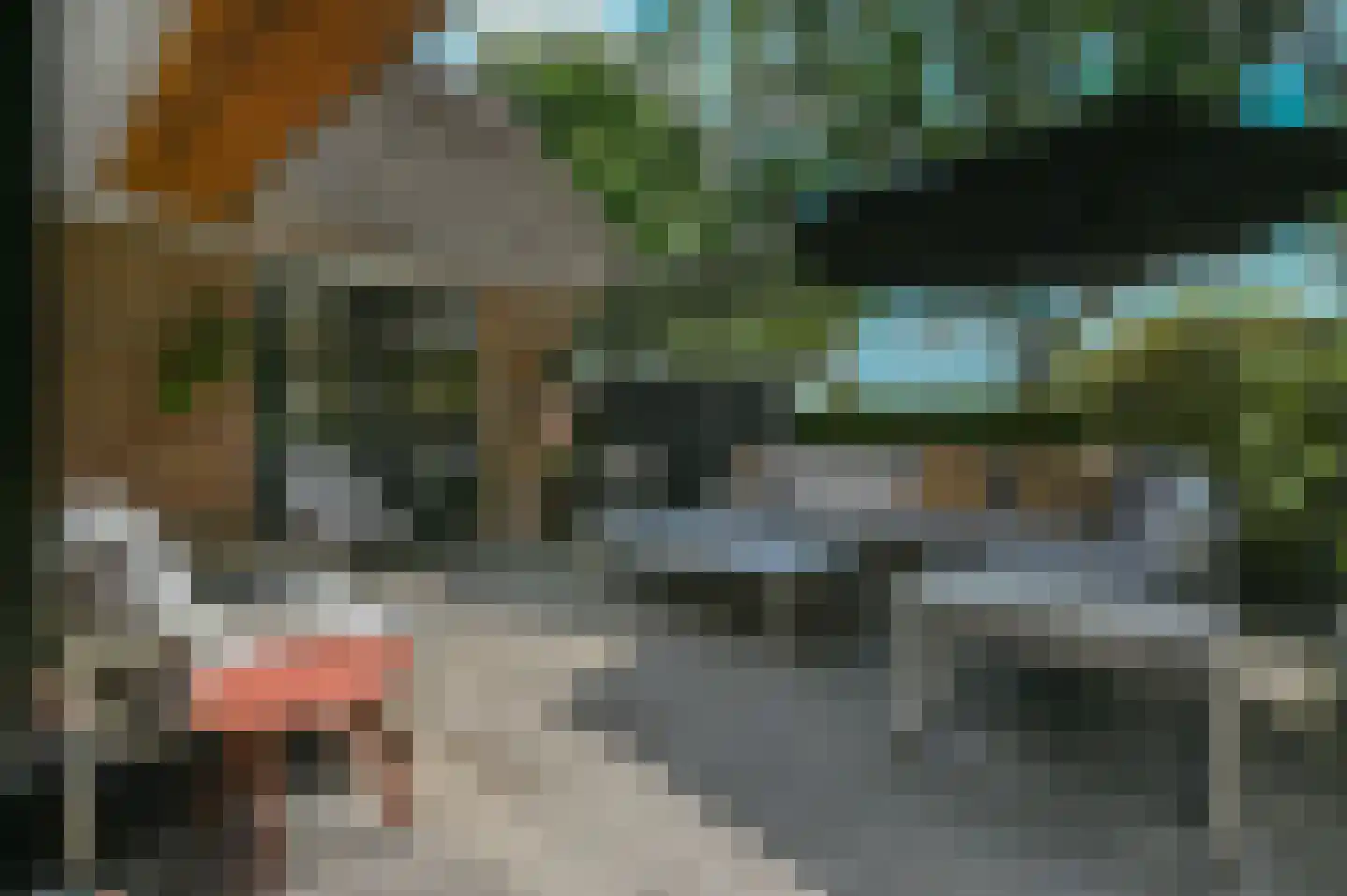 Overhorsterweg 48 Voorthuizen thumbnail 35