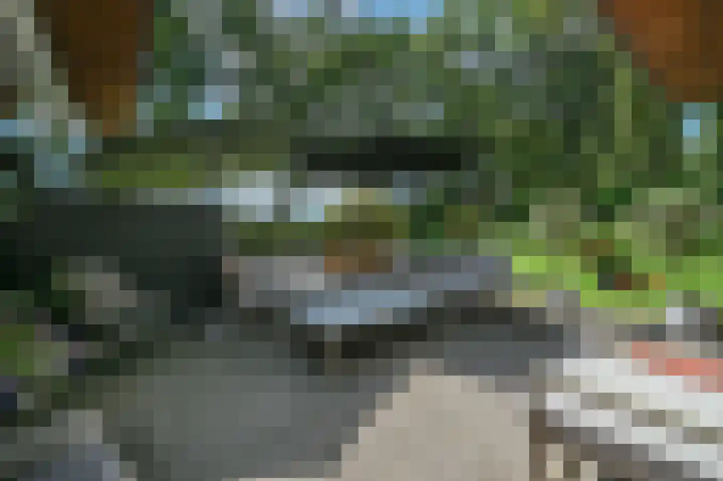 Overhorsterweg 48 Voorthuizen thumbnail 36