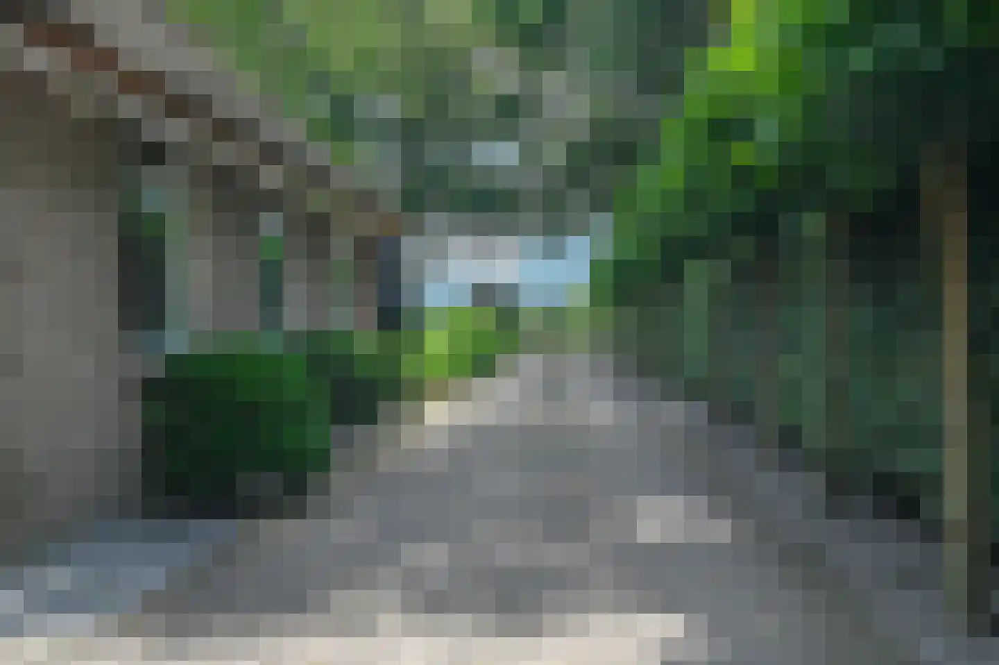 Overhorsterweg 48 Voorthuizen thumbnail 38
