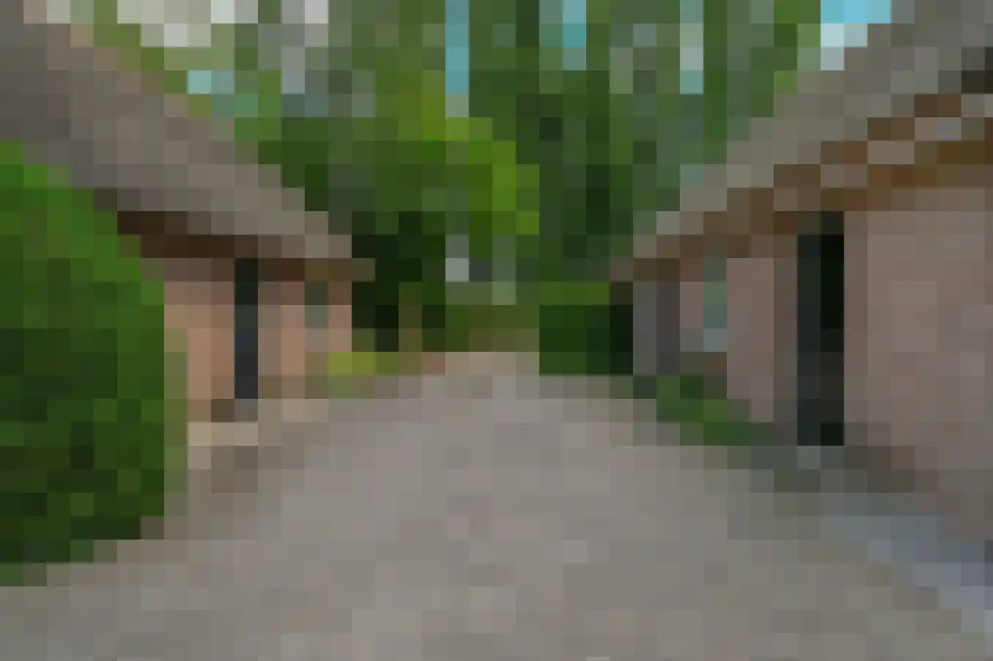 Overhorsterweg 48 Voorthuizen thumbnail 39