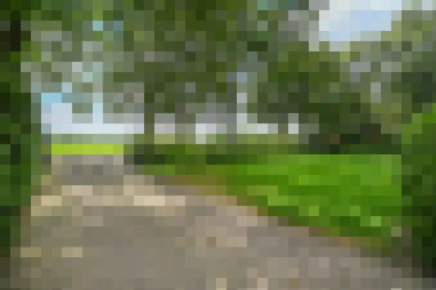 Overhorsterweg 48 Voorthuizen thumbnail 4