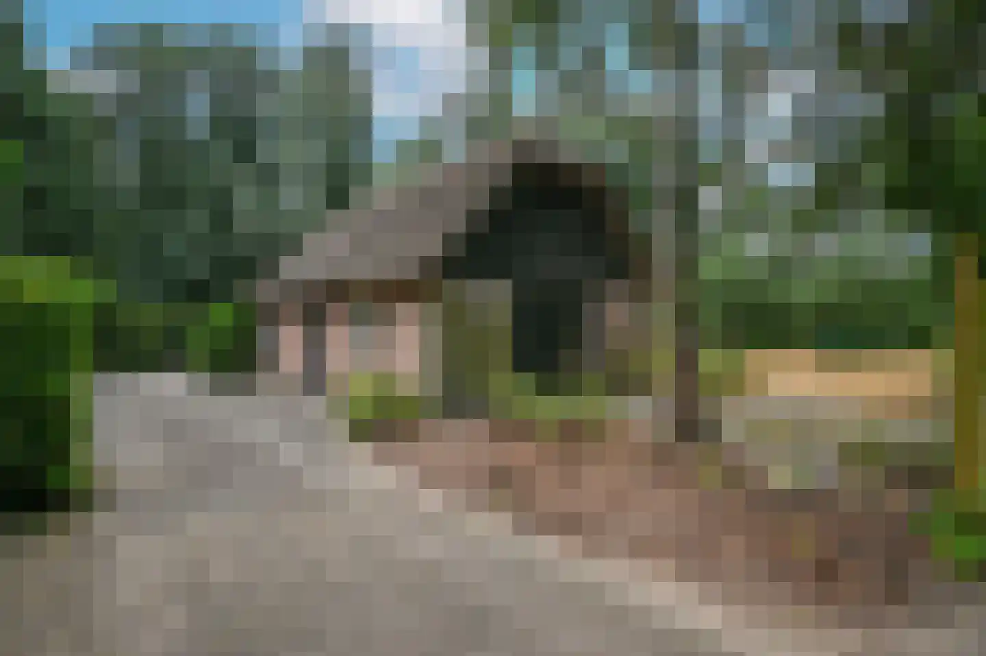 Overhorsterweg 48 Voorthuizen thumbnail 40