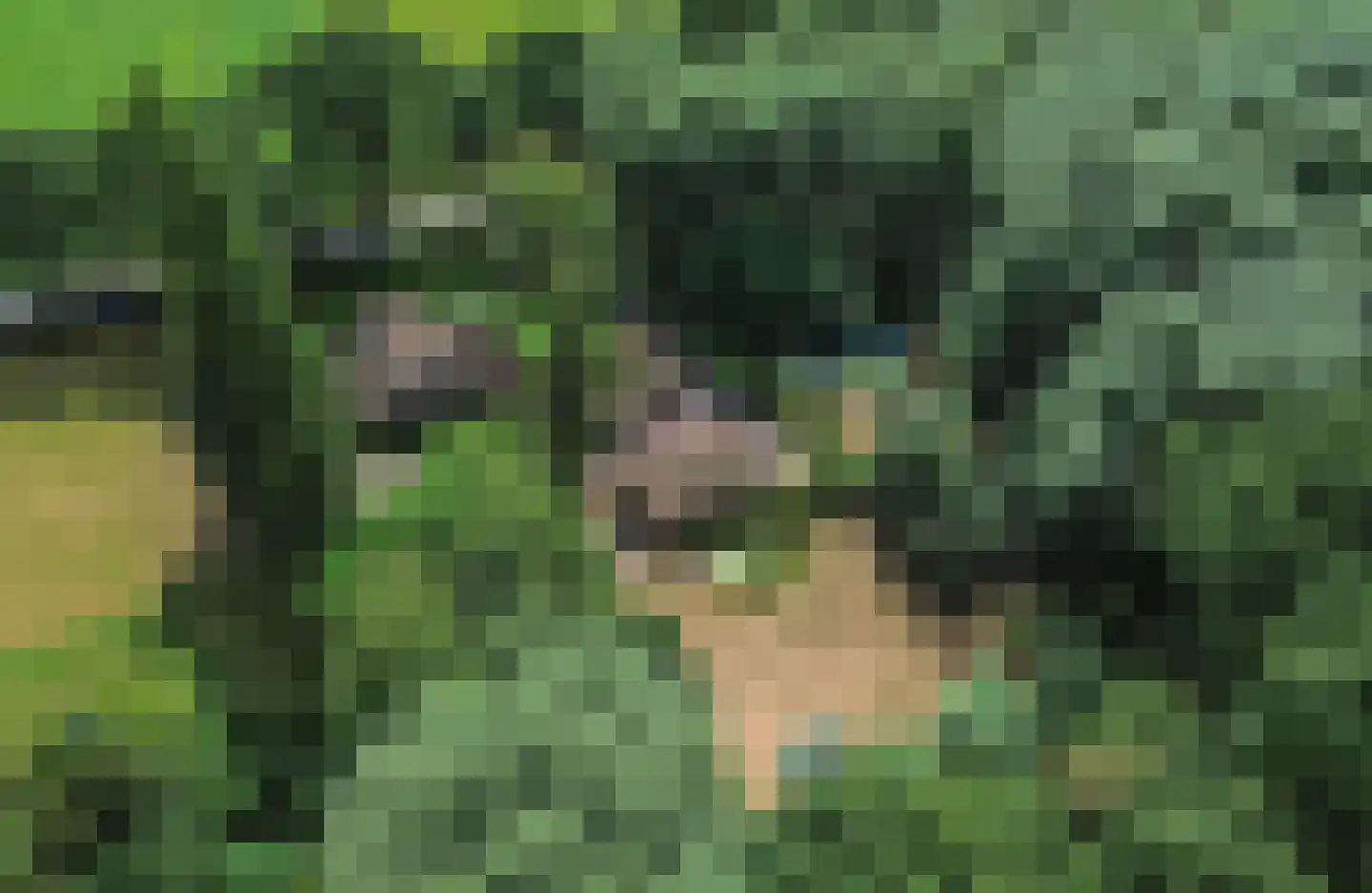 Overhorsterweg 48 Voorthuizen thumbnail 41