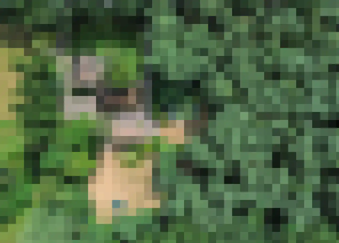 Overhorsterweg 48 Voorthuizen thumbnail 42