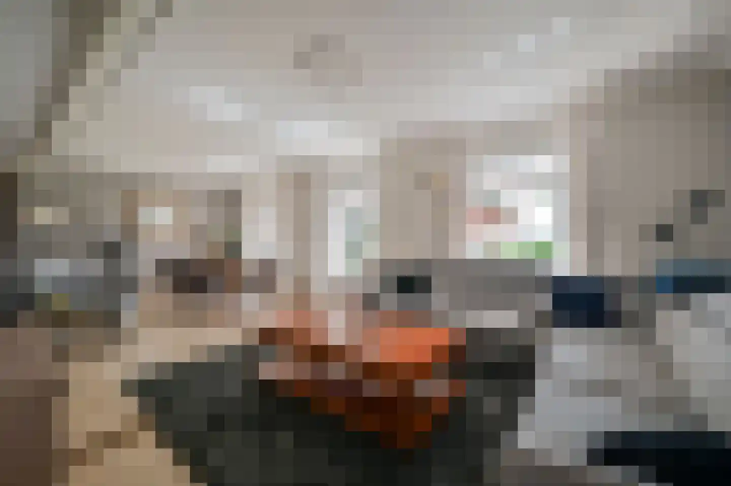 Overhorsterweg 48 Voorthuizen thumbnail 6