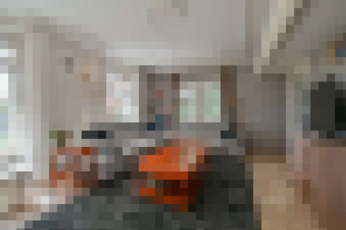 Overhorsterweg 48 Voorthuizen thumbnail 7