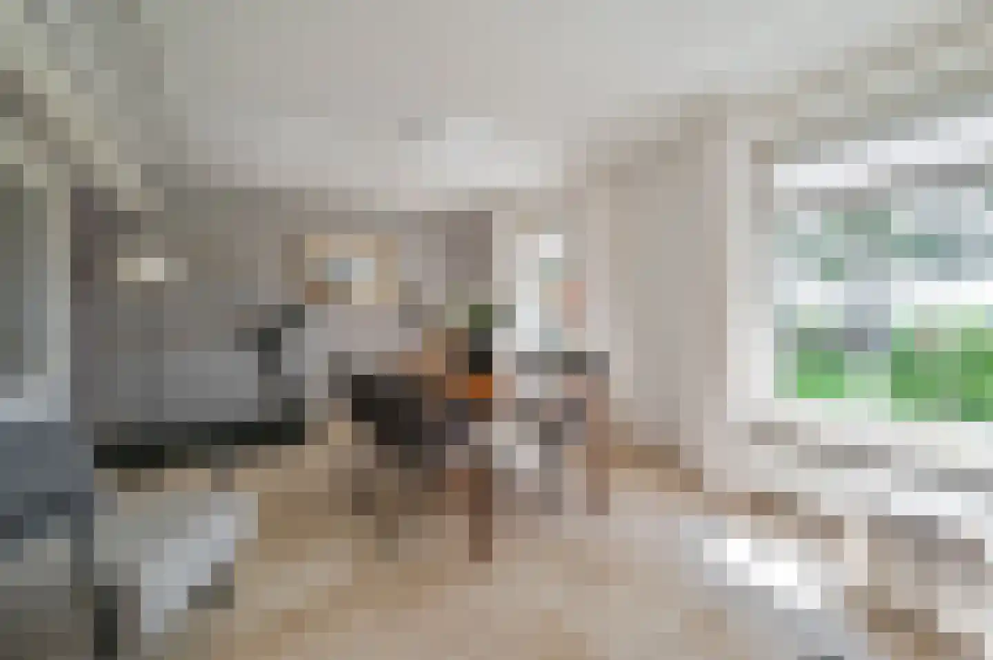 Overhorsterweg 48 Voorthuizen thumbnail 8