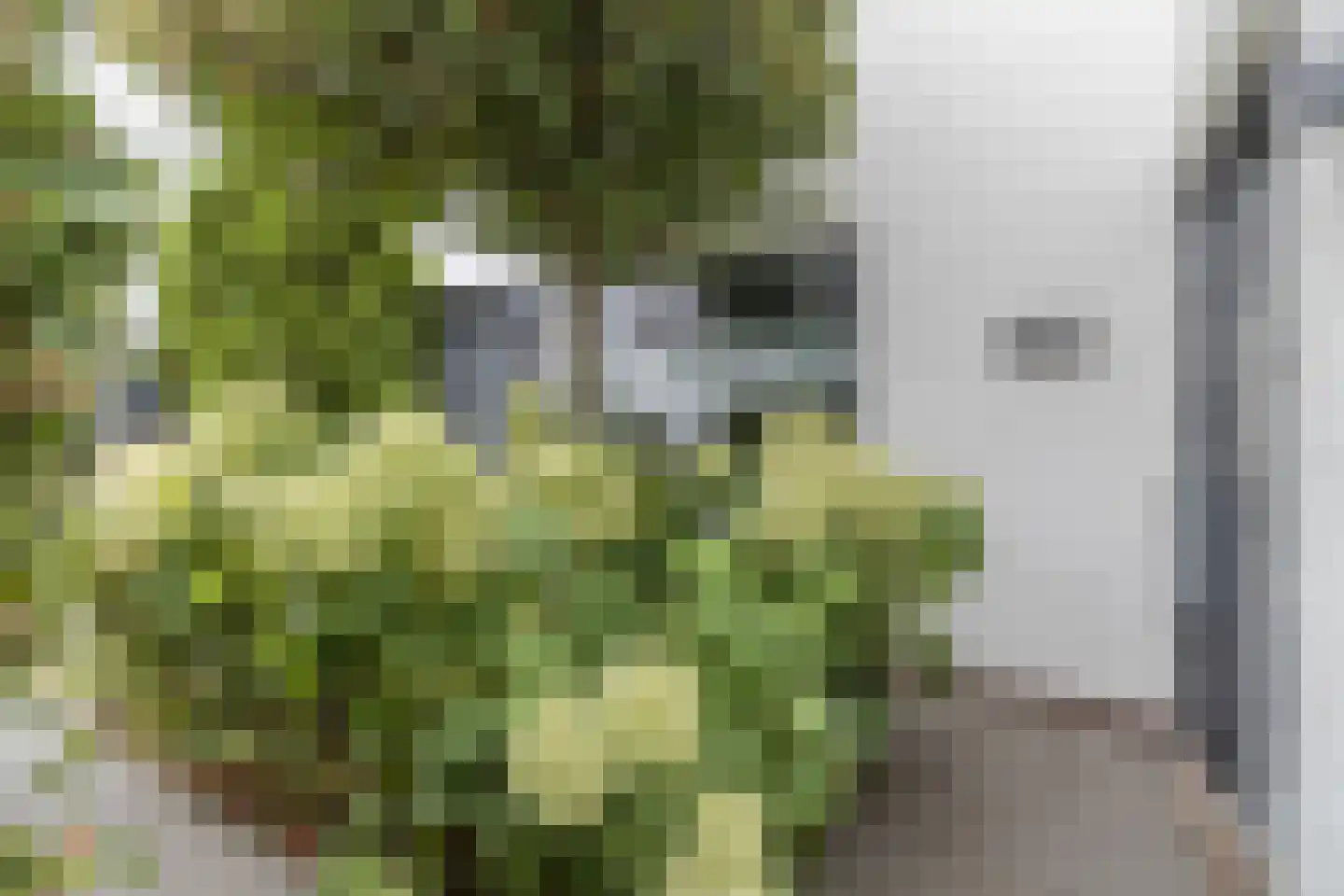 Overhoven 120 Sittard thumbnail 10