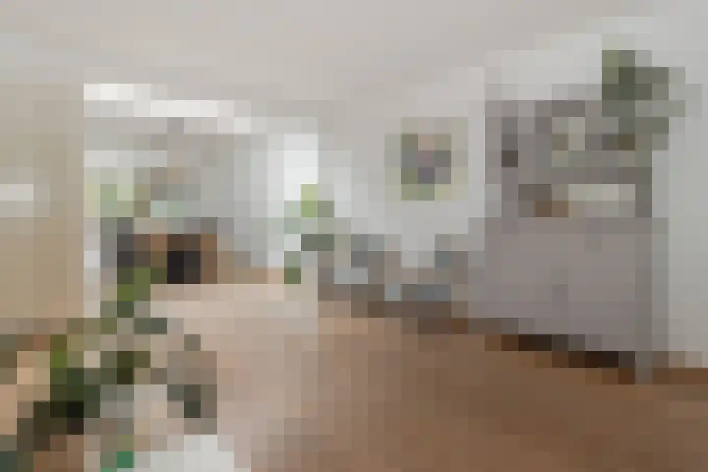 Overhoven 120 Sittard thumbnail 12