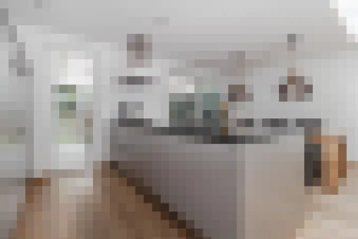 Overhoven 120 Sittard thumbnail 18