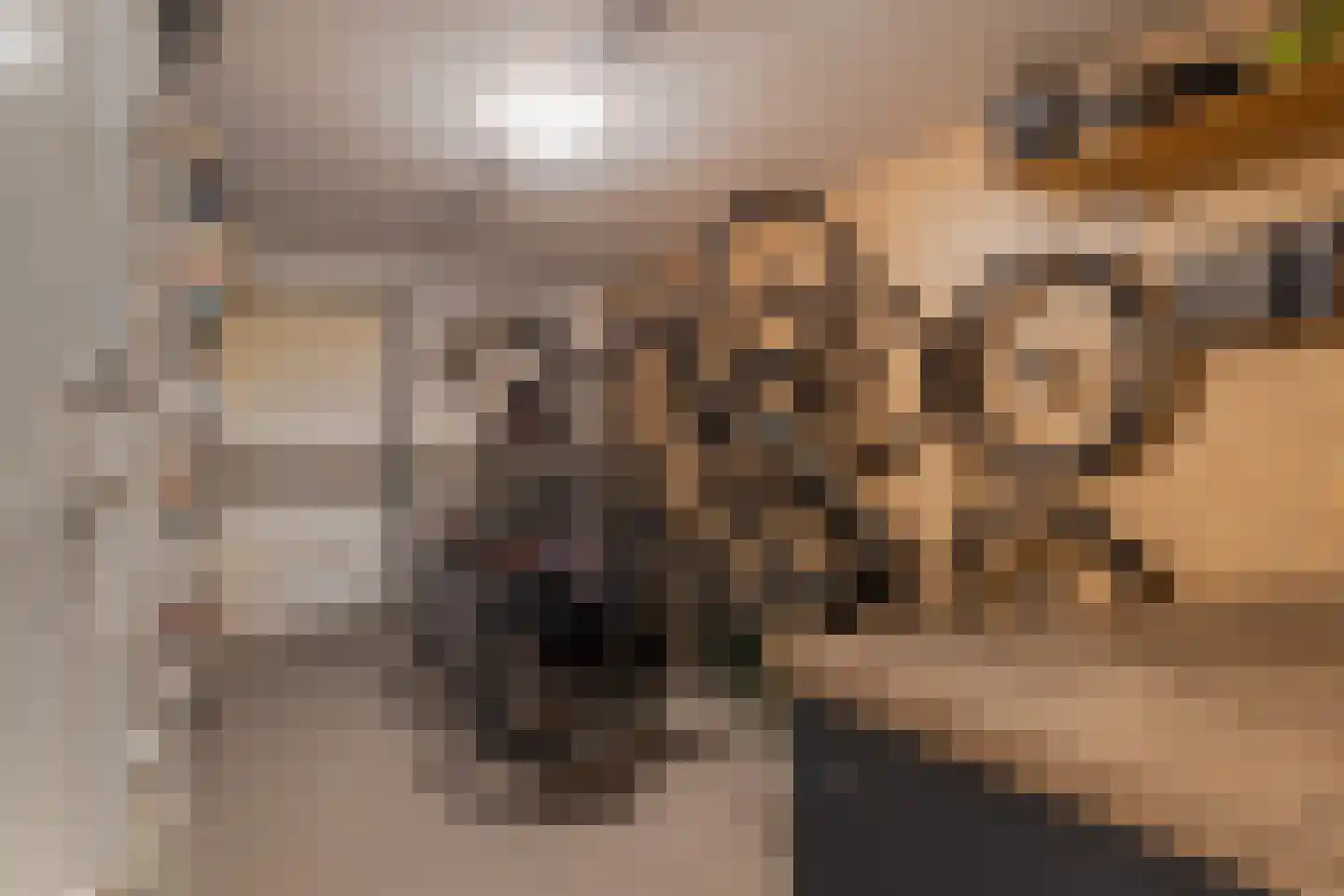 Overhoven 120 Sittard thumbnail 33