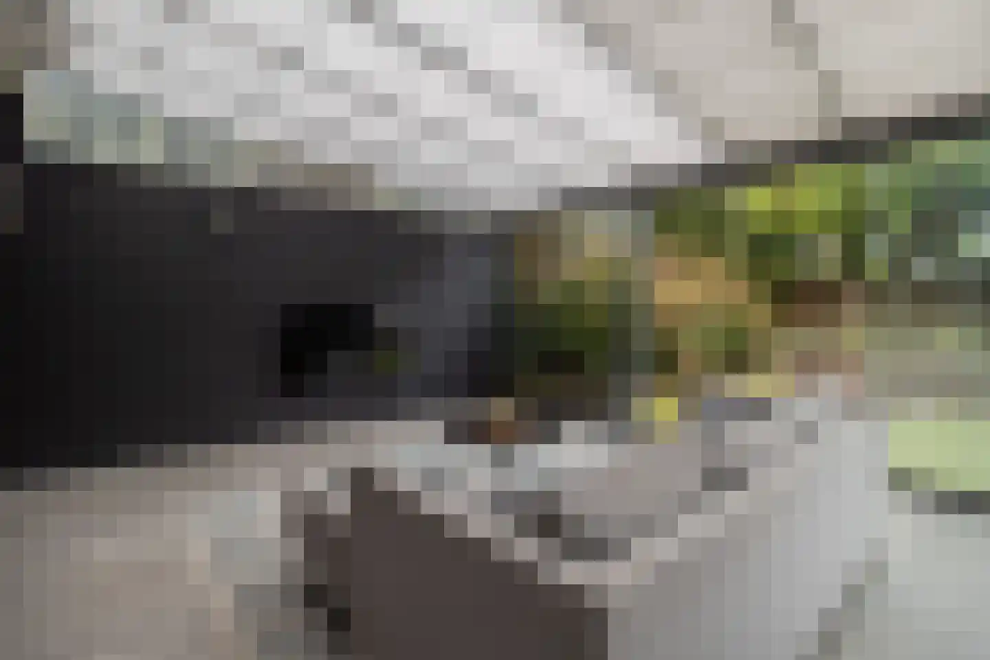 Overhoven 120 Sittard thumbnail 36