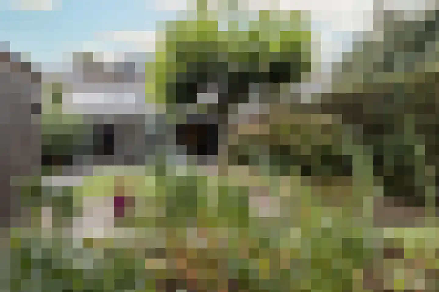 Overhoven 120 Sittard thumbnail 42