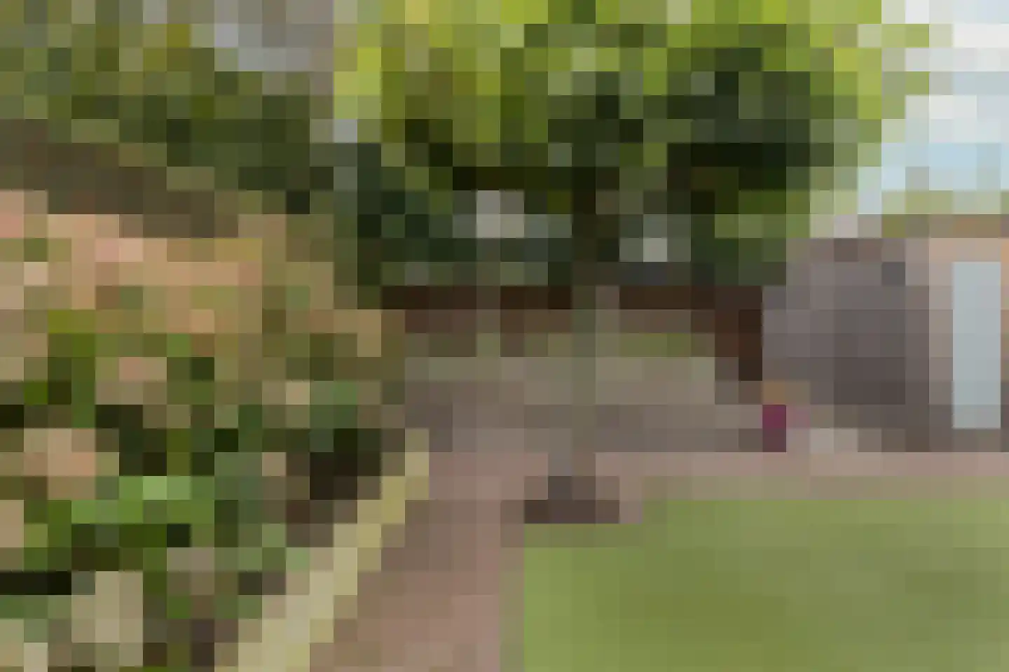 Overhoven 120 Sittard thumbnail 43