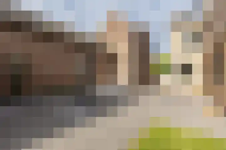 Overhoven 47 Sittard thumbnail 27