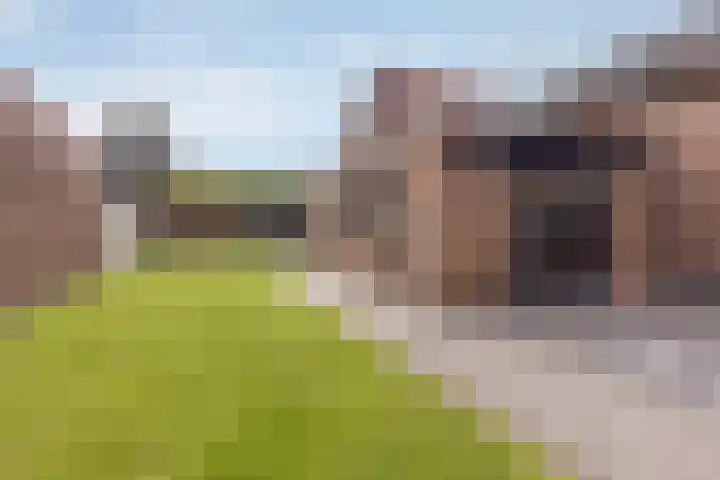 Overhoven 47 Sittard thumbnail 28