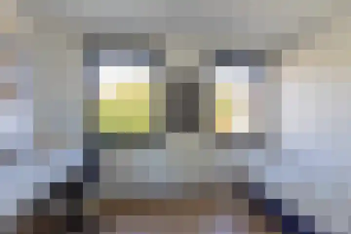 Overhoven 47 Sittard thumbnail 41