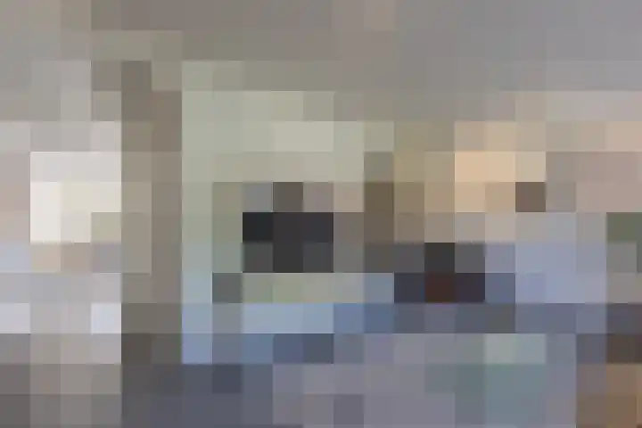 Overhoven 47 Sittard thumbnail 7
