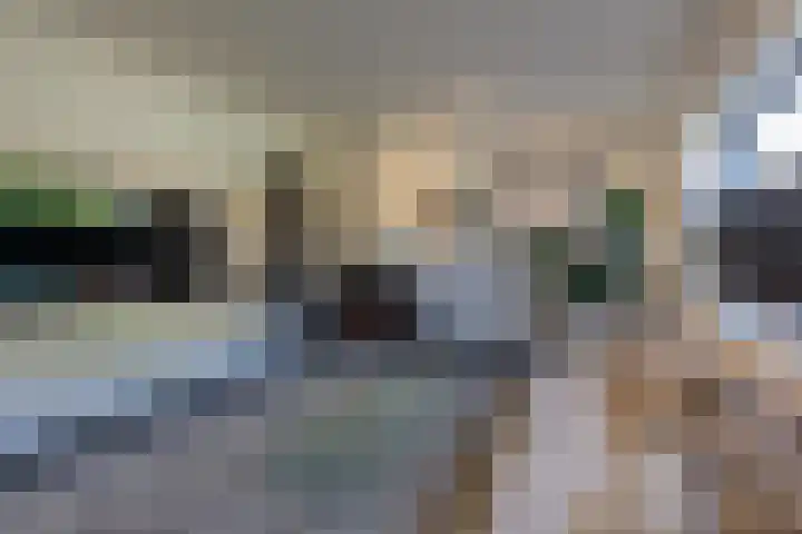 Overhoven 47 Sittard thumbnail 8