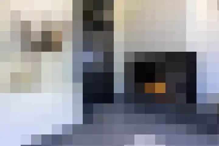 Overhoven 47 Sittard thumbnail 9
