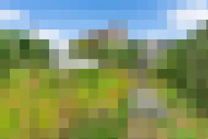 Overhoven 53 Sittard thumbnail 12