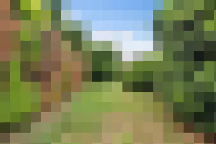 Overhoven 53 Sittard thumbnail 13
