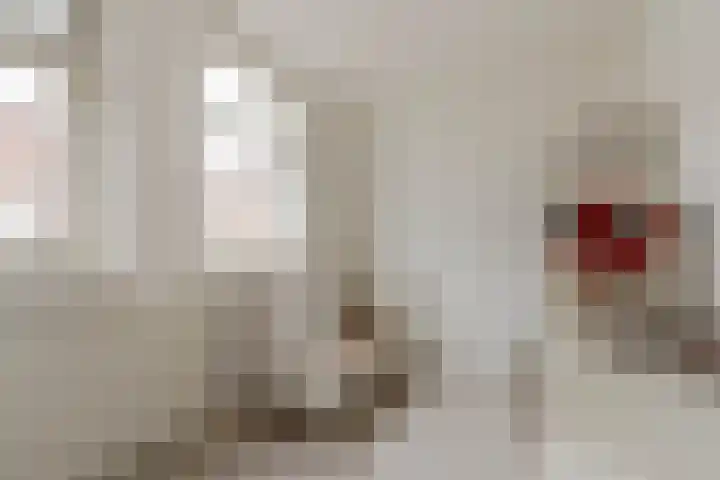 Overijselsestraat 109 Rotterdam thumbnail 22