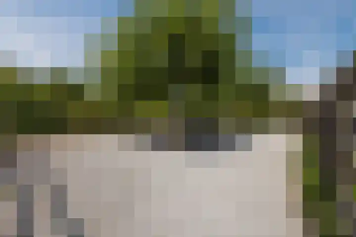 Overijssellaan 34 Veendam thumbnail 4