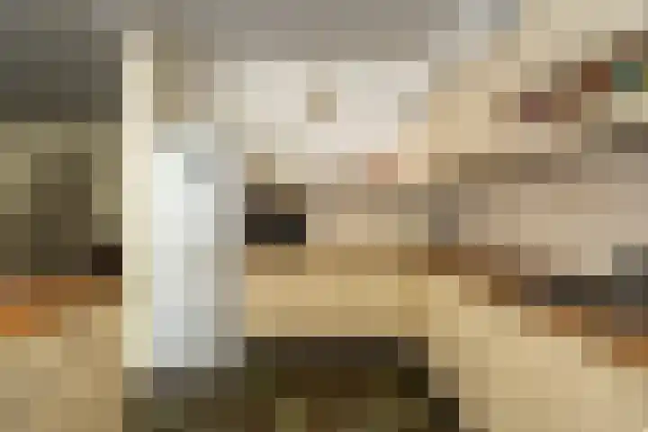 Overijssellaan 5 Veendam thumbnail 12