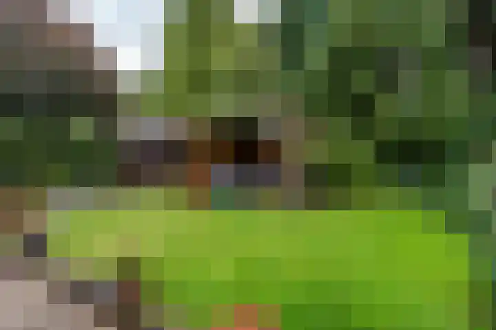 Overijssellaan 5 Veendam thumbnail 22