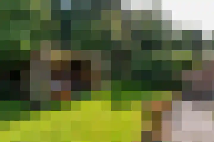 Overijssellaan 5 Veendam thumbnail 25