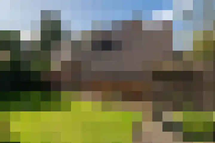 Overijssellaan 5 Veendam thumbnail 26