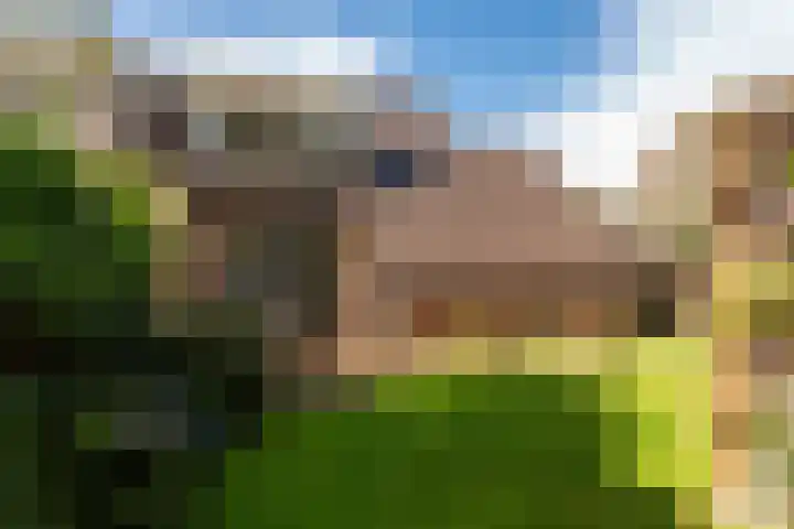Overijssellaan 5 Veendam thumbnail 27