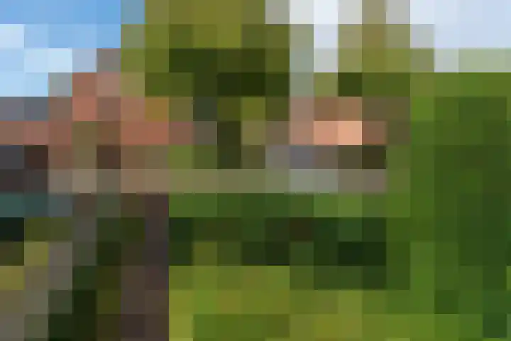 Overijssellaan 5 Veendam thumbnail 28