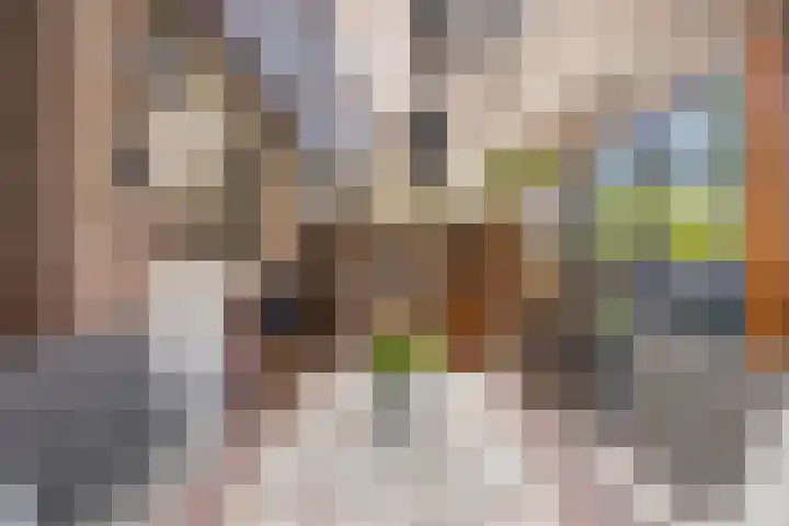 Overijsselplantsoen 18 Helmond thumbnail 36