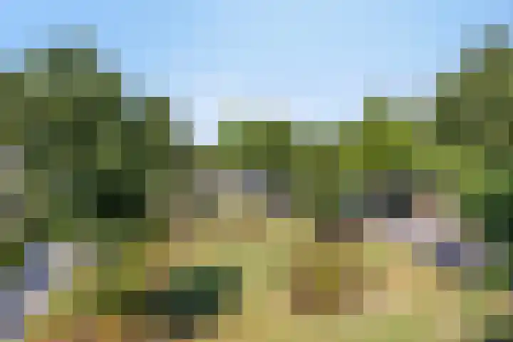 Overijsselplantsoen 18 Helmond thumbnail 42